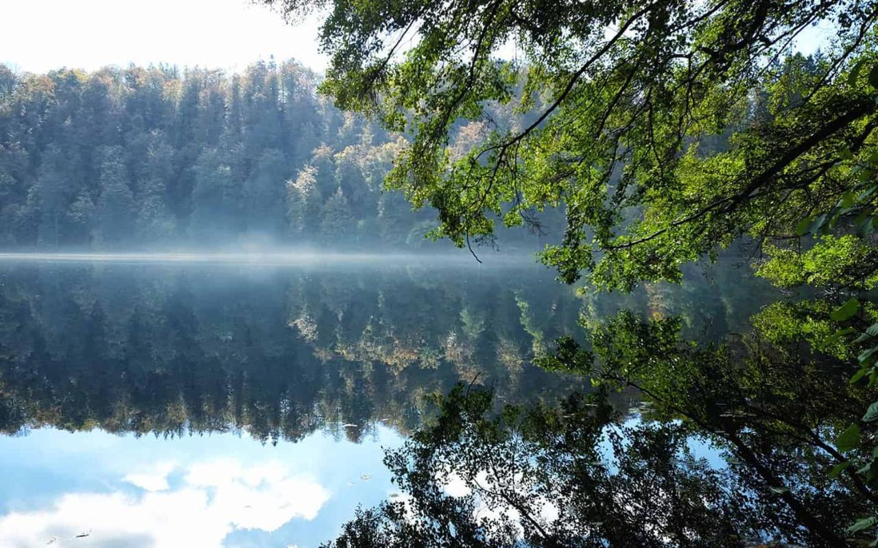 Ferienwohnung In Der Vulkaneifel "Opp Der Holl" Brockscheid Bagian luar foto