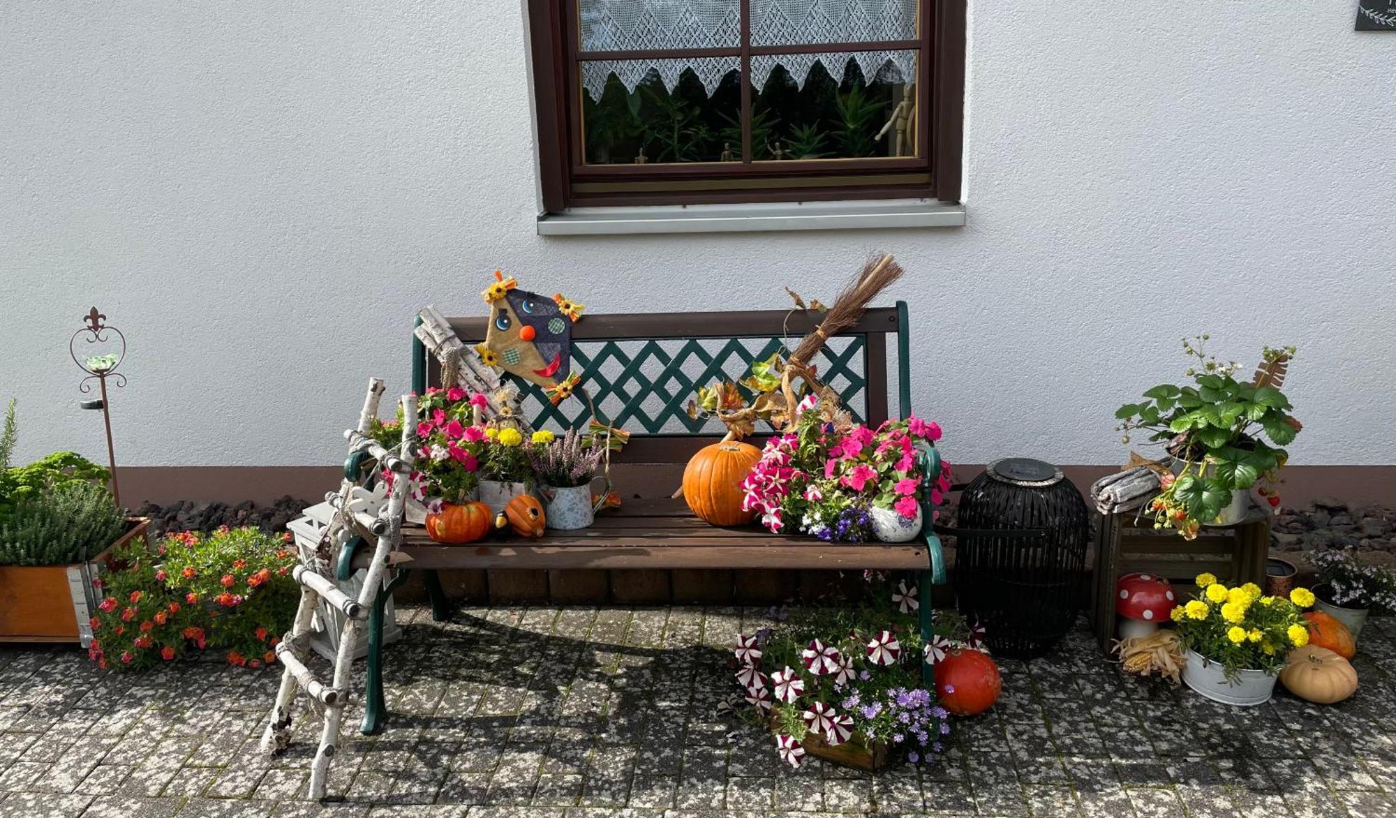 Ferienwohnung In Der Vulkaneifel "Opp Der Holl" Brockscheid Bagian luar foto