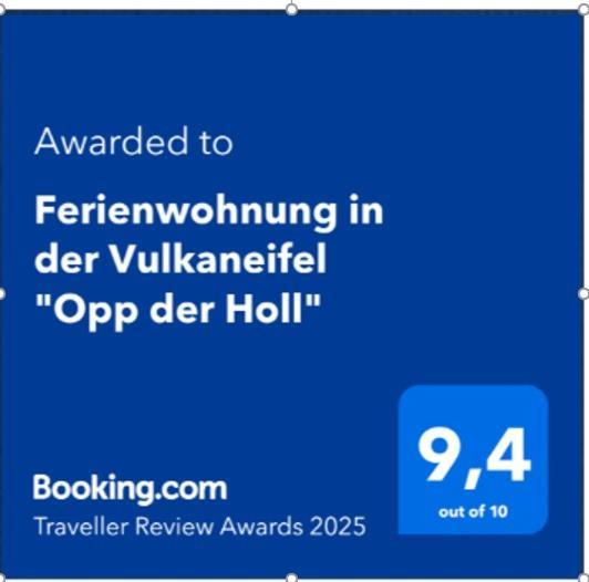 Ferienwohnung In Der Vulkaneifel "Opp Der Holl" Brockscheid Bagian luar foto